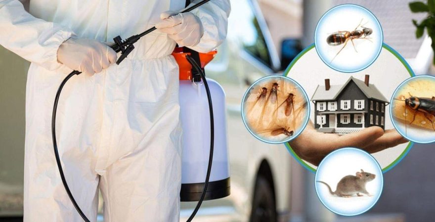 Serik Böcek İlaçlama