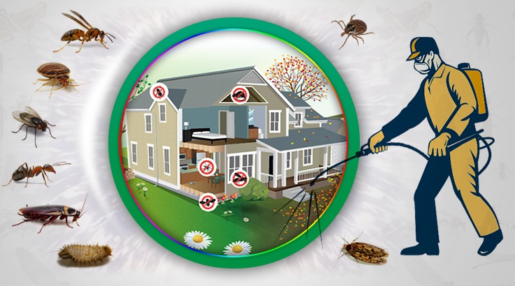 Serik Böcek İlaçlama