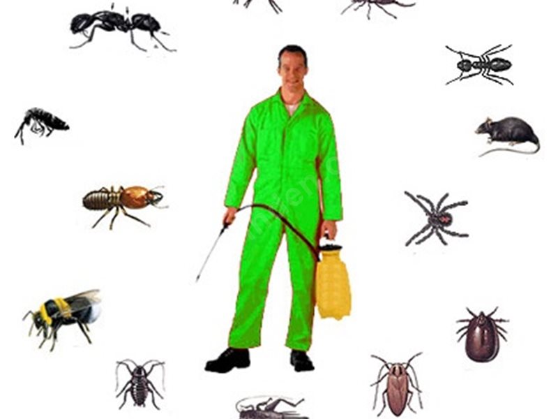 Serik Böcek İlaçlama